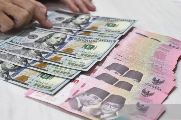Petugas menyusun yang dolar AS dan rupiah di Bank Syariah Indonesia (BSI), Bekasi, Jawa Barat, Jumat (21/2/2025). ANTARA