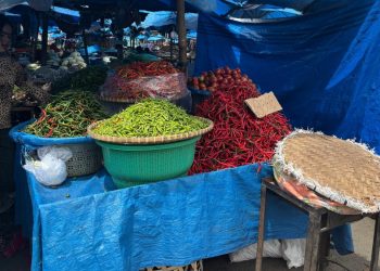 Kios Enjel, salah satu pedagang cabai di pasar Dwikora Siantar ( Herry Sinaga )