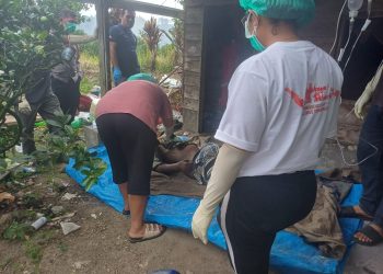 Mayat yang ditemukan digubuk ladang jeruk saat diperiksa oleh petugas ( Humas Polres Simalungun)