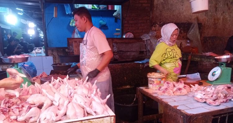 Pedagang ayam potong dipasar Dwikora Kota Pematangsiantar saat ditemui. ( Herry Sinaga )