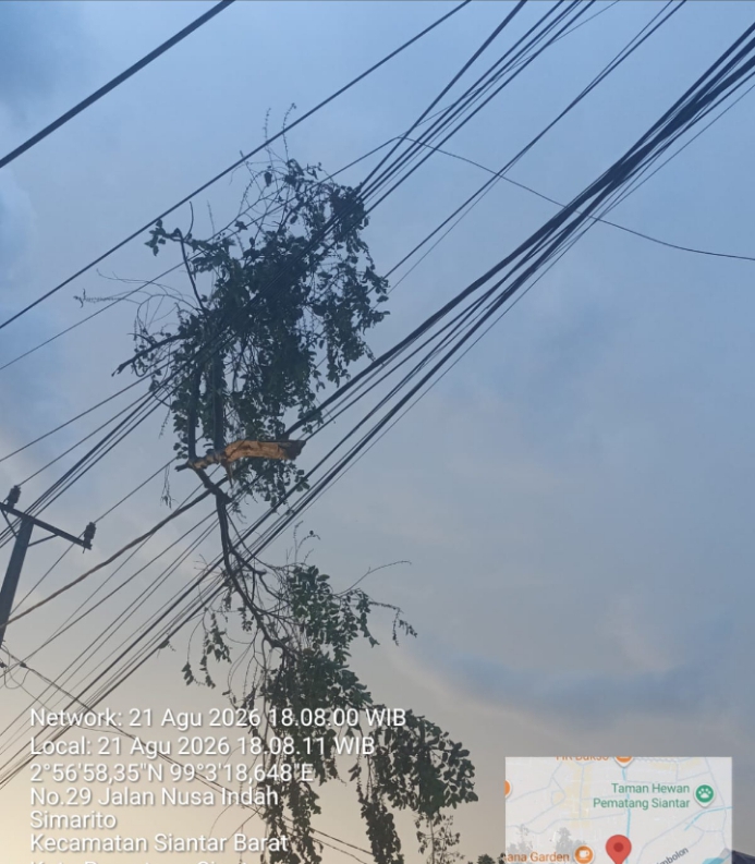 Salah satu ranting pohon yang terjatuh di Kabel mengakibatkan listrik padam ( Istimewa)