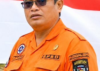 Kepala Pelaksana BPBD Kabupaten Simalungun Budiman Silalahi ( Istimewa )
