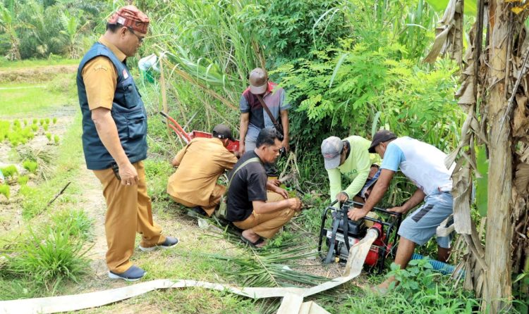 Kepala BPBD Kabupaten Simalungun Budiman Silalahi saat meninjau langsung lokasi petani ( Diskominfo Simalungun )