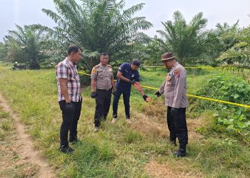Pihak Kepolisian saat melakukan olah TKP penemuan wanita yang meninggal diperkebunan sawit ( Humas Polres Simalungun )