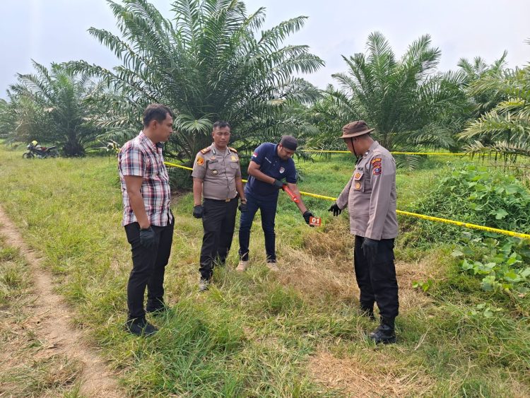 Pihak Kepolisian saat melakukan olah TKP penemuan wanita yang meninggal diperkebunan sawit ( Humas Polres Simalungun )