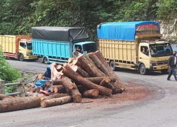 Kondisi saat jalanan macat dan tumpukan kayu gelondongan yang terjatuh ( Istimewa )