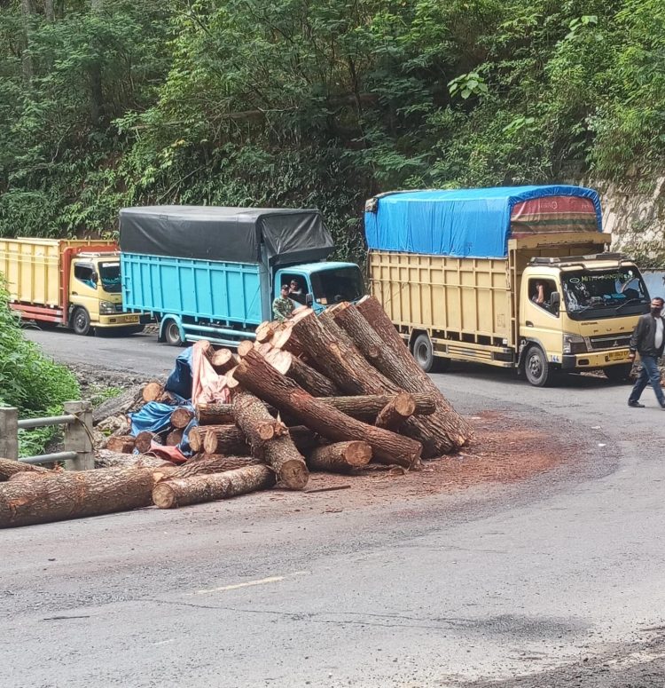 Kondisi saat jalanan macat dan tumpukan kayu gelondongan yang terjatuh ( Istimewa )