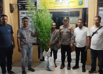 Pemilik ladang ganja warga Simalungun yang diamankan Polisi. ( Humas Polres Simalungun )