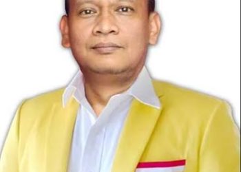 Dasa Sinaga. ( Istimewa )