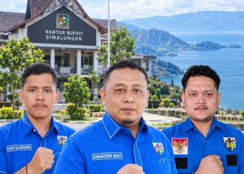 Pengurus DPD KNPI Simalungun.