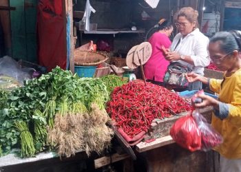 Salah satu pedagang cabai di Kota Pematangsiantar saat ditemui. ( Herry Sinaga )